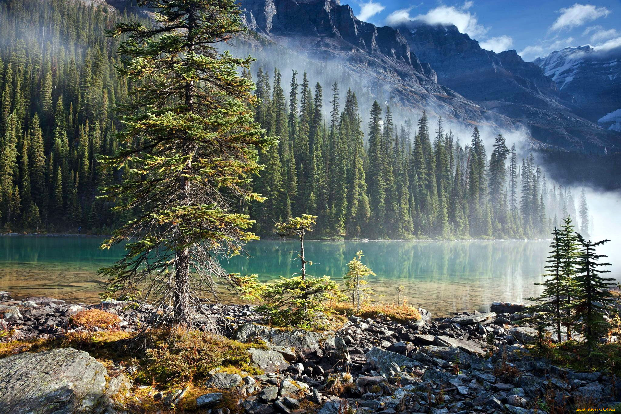 yoho national park, , , , yoho, national, park